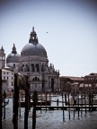 venice venice