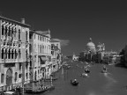 Venice b&w Venice b&w