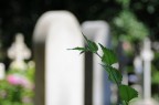 Oltre la vita Oltre la vita
