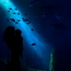 Madre e figlio Madre e figlio