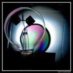 Polarizing Polarizing