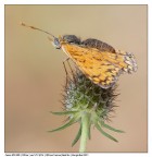 Punto di vista diverso... Punto di vista diverso...