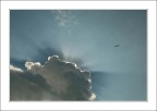 Bliss of a flight Bliss of a flight