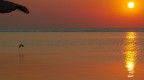 Sunrise Sunrise