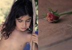 remember rose remember rose