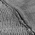 Terre di Siena Terre di Siena