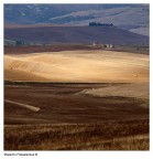 15-07-2011-8895 15-07-2011-8895