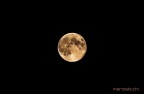 yellowmoon yellowmoon