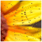 o-o0-O--0O.. o-o0-O--0O..