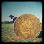 ci si nasconde sempre dietro a una balla! ci si nasconde sempre dietro a una balla!