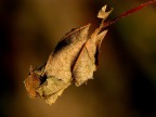 Autunno d'estate!!! Autunno d'estate!!!