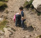 curiosità curiosità