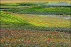 De Colores