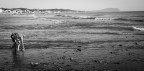 L'anziana ed il mare