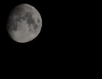 Luna Luna
