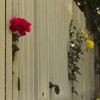 innocenti evasioni innocenti evasioni