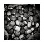 'i stuppadeddi 'i stuppadeddi