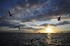 Tramonto Tramonto