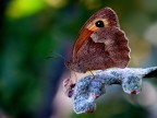 Colorata!!!