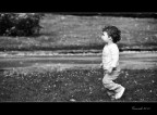 Primi passi ...in libertà Primi passi ...in libertà
