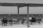 al mare un po' di cultura al mare un po' di cultura