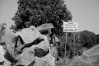 Ma la storia sarà servita davvero?? Ma la storia sarà servita davvero??