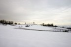 Viti innevate. Viti innevate.