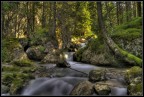 Ruscello in HDR Valle S.Nicolò Ruscello in HDR Valle S.Nicolò