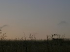 ...quiet...