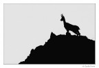 Silhouette Silhouette