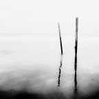 Sticks Sticks