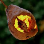 Ristorante pieno anche oggi!!! Ristorante pieno anche oggi!!!