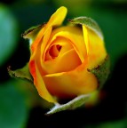 Pentagono!!! Pentagono!!!