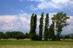 una piacevole vista dalla cucina dei miei genitori