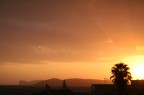 Scattata al tramonto sul mare. Ho usato il bilanciamento
bel bianco in manuale su luce diurna. Mi piaceva l'idea
di dare un'aria un po' esotica alla foto