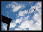 ....al volo ! ....al volo !