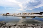 Sardegna - Spiaggia di Bidderosa - La transumanza.

Critiche e commenti sono sempre graditi. 

Marco