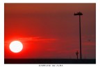 Gabbiani all'alba Gabbiani all'alba