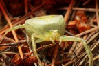 poco rassicurante............ poco rassicurante............