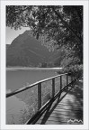 Natura @ Lago di Toblino - TRENTINO Natura @ Lago di Toblino - TRENTINO