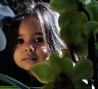 Tra i fiori Tra i fiori