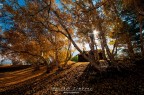 la casa nel bosco la casa nel bosco
