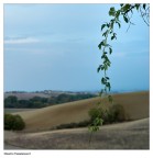 25-09-2011-L1003500 25-09-2011-L1003500