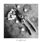 a coglie l'uva! a coglie l'uva!