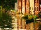 PANASONIC FZ-50
f/5
ISO 200
1/250"
86mm
Naviglio Grande, Bernate (MI)