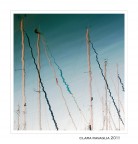 Tremando... Tremando...