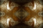 Tridimenzionalit@2011