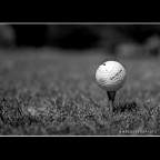 ::: GOLF ::: ::: GOLF :::