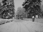 Nevica Nevica