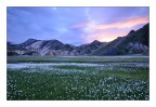 Landmannalaugar Islanda Landmannalaugar Islanda